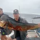 Dorado